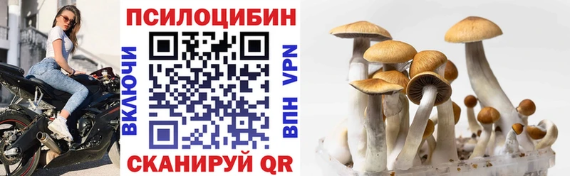 Псилоцибиновые грибы Magic Shrooms  Купить где  Няндома 